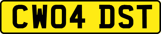 CW04DST