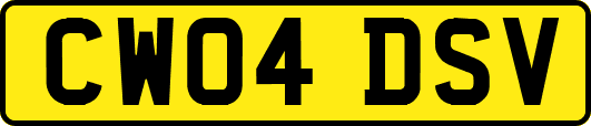 CW04DSV