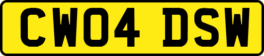 CW04DSW
