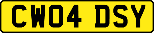 CW04DSY