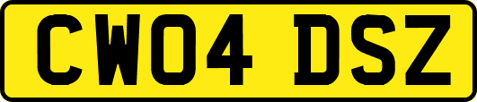 CW04DSZ