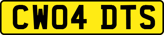CW04DTS