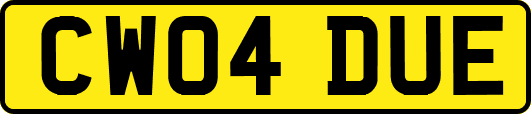 CW04DUE