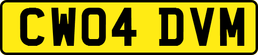 CW04DVM