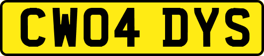 CW04DYS