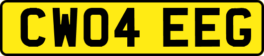 CW04EEG