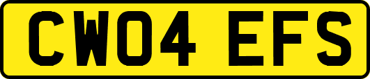 CW04EFS