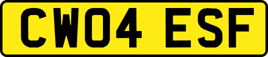 CW04ESF