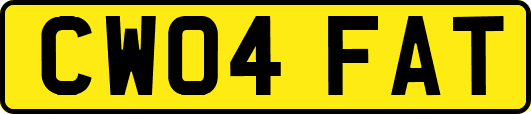 CW04FAT
