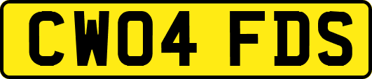 CW04FDS