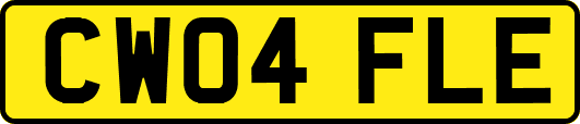 CW04FLE