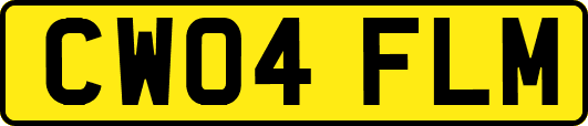 CW04FLM