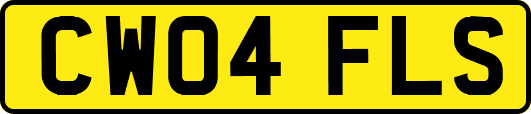 CW04FLS