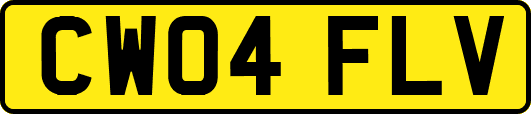 CW04FLV