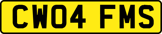 CW04FMS