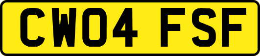 CW04FSF
