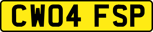CW04FSP