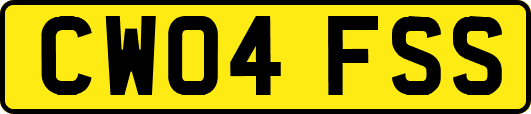 CW04FSS