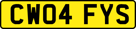 CW04FYS