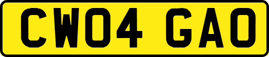 CW04GAO