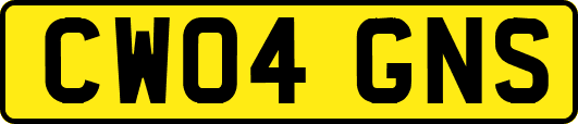 CW04GNS