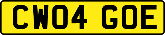 CW04GOE