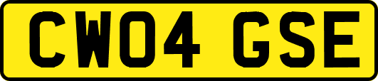 CW04GSE