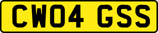 CW04GSS