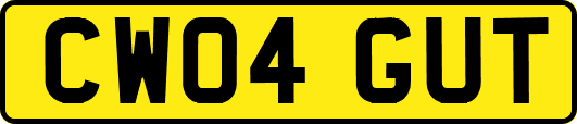 CW04GUT