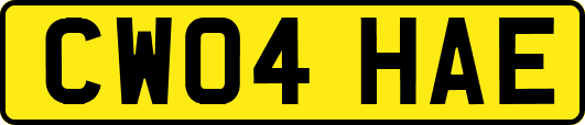 CW04HAE