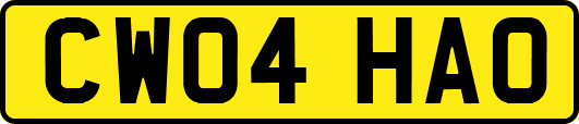 CW04HAO
