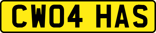 CW04HAS
