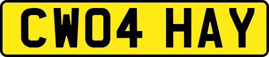 CW04HAY