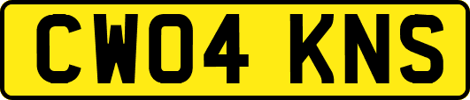 CW04KNS