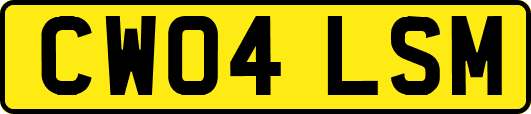 CW04LSM