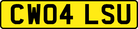 CW04LSU