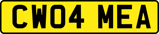CW04MEA