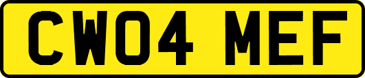 CW04MEF