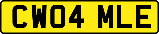 CW04MLE