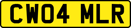 CW04MLR