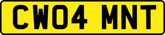 CW04MNT