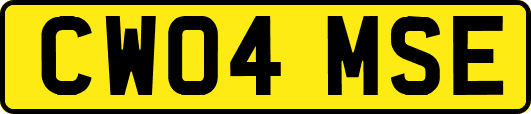 CW04MSE