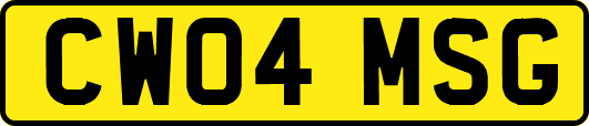 CW04MSG