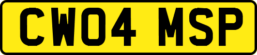 CW04MSP