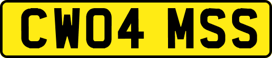 CW04MSS