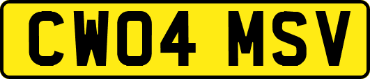 CW04MSV