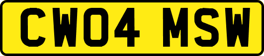 CW04MSW
