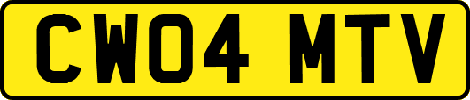 CW04MTV