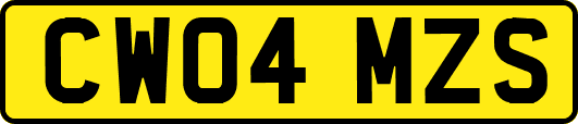 CW04MZS