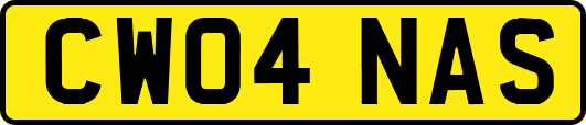 CW04NAS